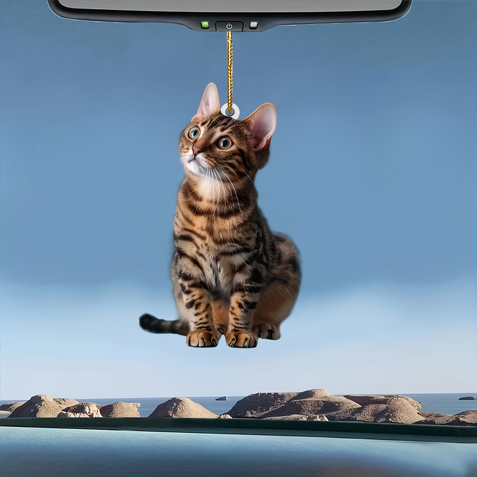 3pcs 2D Flat Cat Acrylic Penda - Car Accessories Xmas recension och pris