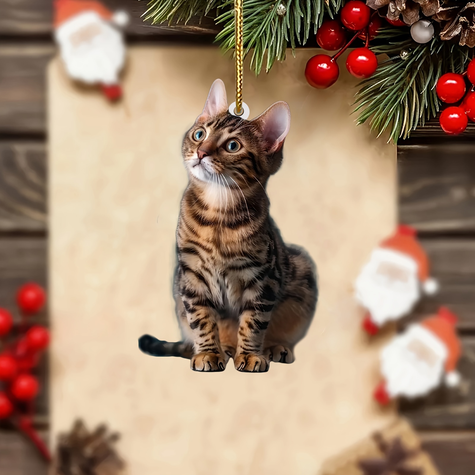 3pcs 2D Flat Cat Acrylic Penda - Car Accessories Xmas recension och pris